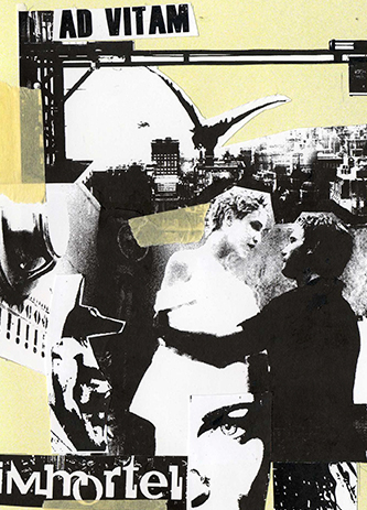 Dvd immortel ad vitam